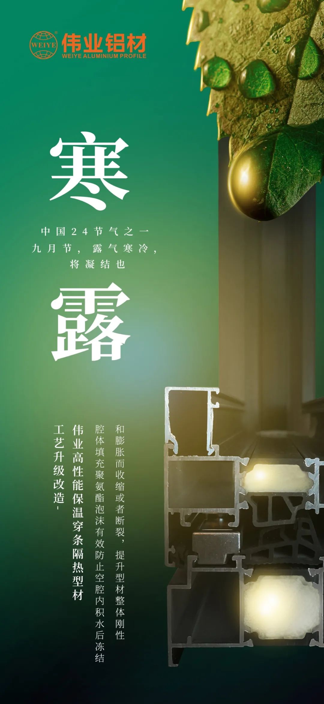 #寒露 九月节，，，，，，露气严寒，，，，，，将凝聚也 时光入深秋，，，，，，岁月便深情